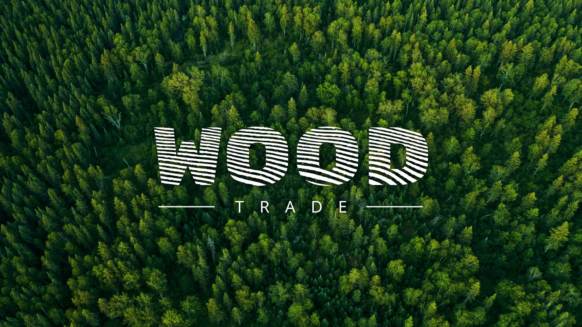 Разработка интернет-магазина компании «Wood Trade» в Касимове