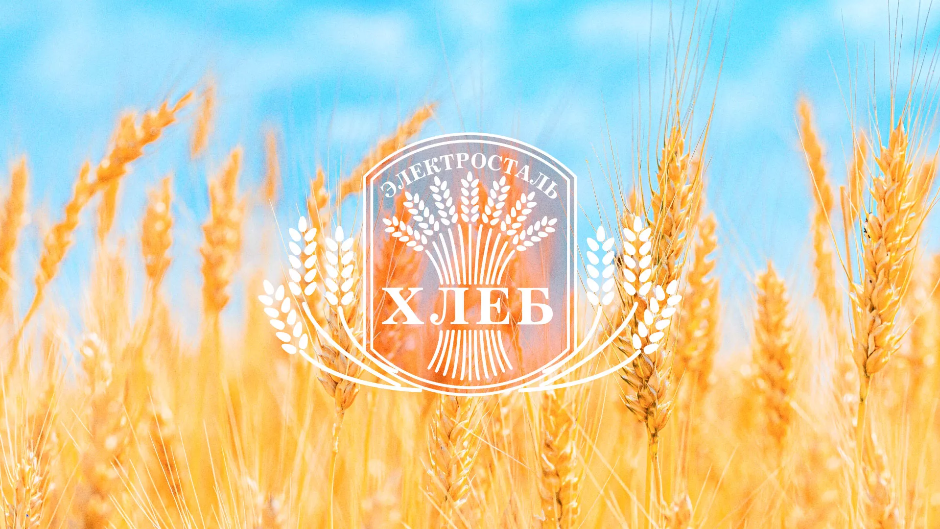 Создание сайта для хлебзавода в Касимове