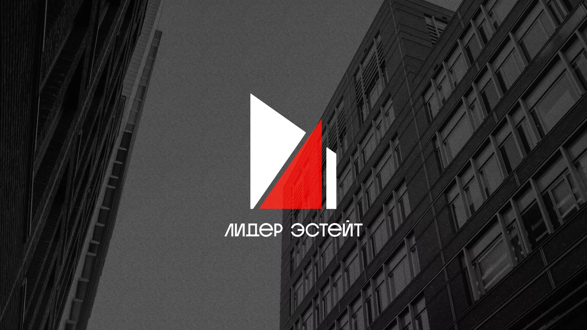 Сделали логотип для агентства недвижимости «Лидер Эстейт» в Касимове